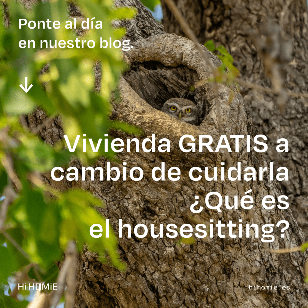 Vivienda GRATIS a cambio de cuidarla - Hi Homie